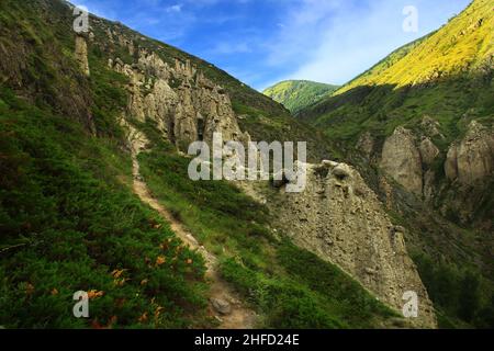 Grüne Hänge des Altai-Gebirges in Akkurum trakt mit Steinpilzen im Sumer Stockfoto