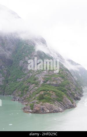 Wie ein Tier lässt sich ein Granitausschnitt in den Tracy Arm Fjord eintauchen. Stockfoto