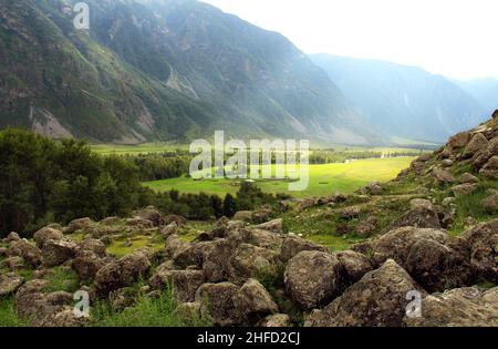 Blick auf das Tal mit großen Steinen im Akkurum-Trakt im Chulyshman-Tal mit dem Fluss, Wald und hohen Berghängen der Schlucht in Summe Stockfoto