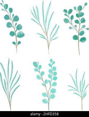 Eukalyptusblätter auf transparentem Hintergrund isoliert. Blumenlogo oder Symbolvektor Illustration für Wohnkultur, Poster, Wandbilder, Karten, Verpackungen. Stock Vektor