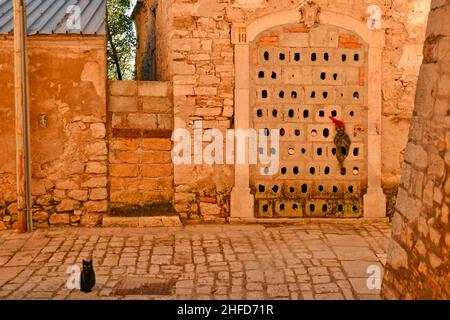 Eine Katze und ein Gespenst, gezeichnet auf die Wand eines alten zerstörten Hauses in Buonalbergo, einem Dorf, das nach einem Erdbeben in der Provinz Benevento, Italien, wieder aufgebaut wurde. Stockfoto