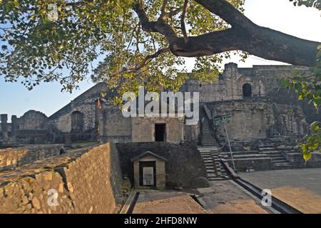 Überreste von kangra Fort, himachal pradesh Stockfoto