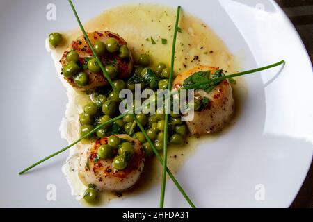 Jakobsmuscheln in einer grünen Erbse-Vinaigrette Stockfoto