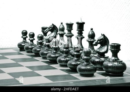 Schwarze Schachfiguren auf dem Brett auf weißem Hintergrund. Startposition der Schachfiguren. Schwarzweiß-Foto. Stockfoto