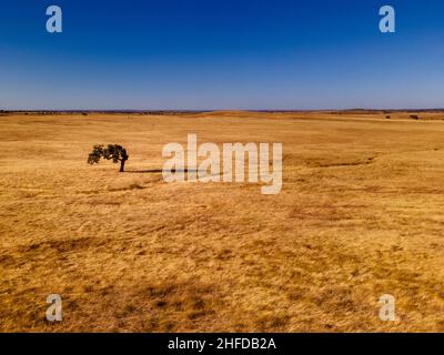 Luftlandfelder Landschaft Landschaft in Alentejo, Tourismusdestinationsregion, Portugal. Stockfoto