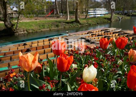 OXFORD, Großbritannien - 13. April 2021. Wetten in Oxford, England Stockfoto