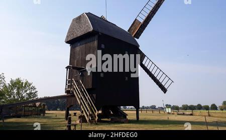 Die Windmühle in Wilhelmsaue wurde 1880 gebaut. Bis 1964 wurde Mehl und Schredder gemahlen, danach wurde die Mühle zur Ruine. 1983 ein Stern der Renovierung Stockfoto