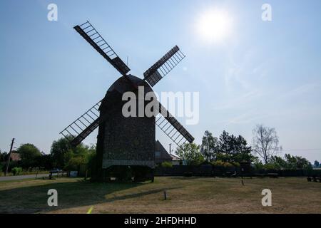 Die Windmühle in Wilhelmsaue wurde 1880 gebaut. Bis 1964 wurde Mehl und Schredder gemahlen, danach wurde die Mühle zur Ruine. 1983 ein Stern der Renovierung Stockfoto