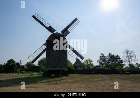 Die Windmühle in Wilhelmsaue wurde 1880 gebaut. Bis 1964 wurde Mehl und Schredder gemahlen, danach wurde die Mühle zur Ruine. 1983 ein Stern der Renovierung Stockfoto