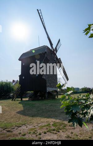 Die Windmühle in Wilhelmsaue wurde 1880 gebaut. Bis 1964 wurde Mehl und Schredder gemahlen, danach wurde die Mühle zur Ruine. 1983 ein Stern der Renovierung Stockfoto