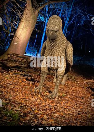 Harry Potter Verbotener Wald Erfahrung Stockfoto