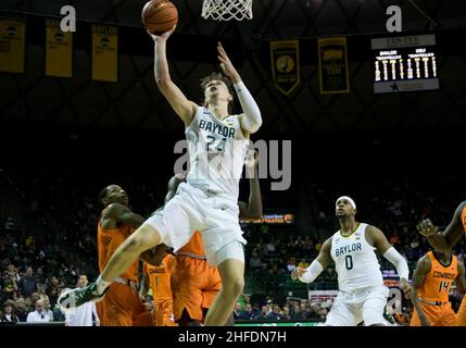 Waco, Texas, USA. 15th Januar 2022. Der Baylor Bears-Wächter Matthew Mayer (24) schießt den Zwischenstopp während des 2nd. Halbjahres des NCAA Football-Spiels zwischen den Texas Tech Red Raiders und Baylor Bears im Ferrell Center in Waco, Texas. Matthew Lynch/CSM/Alamy Live News Stockfoto