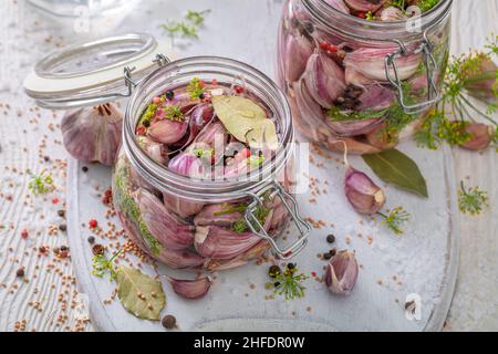 Hausgemachter eingelegter Knoblauch aus Bio-Gemüse. Knoblauch zu Hause einbeizen. Stockfoto