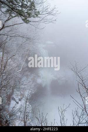 Der obere Fall der Kaaterskill Falls. Winterlandschaft mit frischem Schnee und dichtem Nebel. Eiszapfen hängen an den Überhängen. Raureif auf den Bäumen. Stockfoto