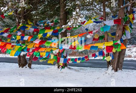 Gebetsfahnen an den Fäden, vom Wind geweht, um guten Willen und Mitgefühl zu verbreiten. Karma Triyana Dharmachakra - ein tibetisch-buddhistisches Kloster in Woodstock Stockfoto