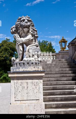 löwe im Park von schloss nymphenburg, münchen Stockfoto