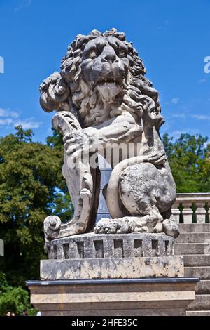 löwe im Park von schloss nymphenburg, münchen Stockfoto