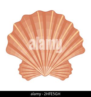 Farbe isoliert Muschel, isoliert Vektor-Illustration in Cartoon-Stil. Stock Vektor