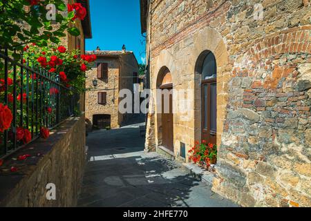 Fantastischer Blick auf die Straße mit alten Steinhäusern und roten Rosen im Ziergarten, Monticchiello, Toskana, Italien, Europa Stockfoto