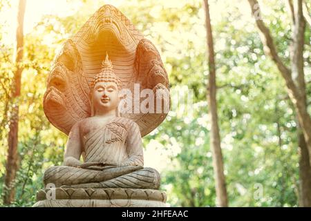 buddha schützte mit einer naka-Steinstatue im Wald Stockfoto