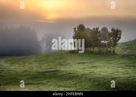 FruitsSchöner Herbstaufgang mit viel Nebel in Bayern, Deutschland Stockfoto