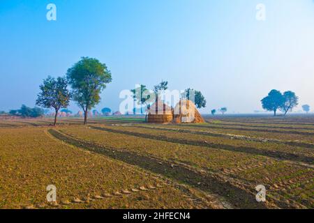 Strohhütte der Einheimischen in Indien, Rajasthan in frühen Morgenlicht Stockfoto