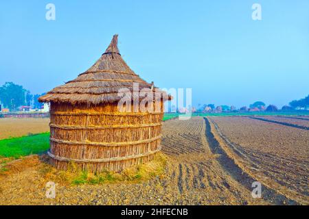 Hütte des Bauern auf Feldern im Morgennebel Stockfoto