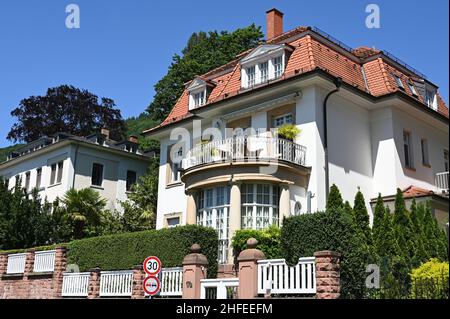 Herrschaftliche Villen am Neckarufer in Heidelberg Stockfoto