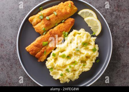 Warmes Abendessen mit gebratenem Seefisch und Kartoffelpüree aus der Nähe auf einem Teller auf einem Betongrund. Horizontale Ansicht von oben Stockfoto