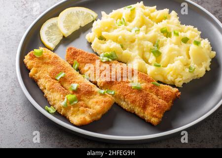 Warmes Abendessen mit gebratenem Seefisch und Kartoffelpüree in Nahaufnahme auf einem Teller auf einem Betongrund. Horizontal Stockfoto