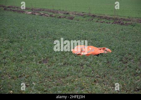 Gut sichtbare Jacke, in Field, suffolk, england Stockfoto