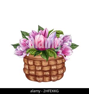 Bouquet aus rosa Magnolienblüten. Blumenstrauß im Korb. Aquarellillustration für Print, Etikett, Karte, Jubiläum, Geburtstag, Muttertag. Stockfoto