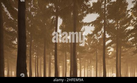 Waldsmog neblig neblig Klima Notfall schöne Aussicht Waldlandschaft 3D Render Stockfoto