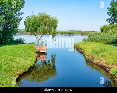 Landschaftlich schöner Blick auf den Comana-See, Teil des Naturparks Comana, in der Nähe von Bukarest, Rumänien. Stockfoto