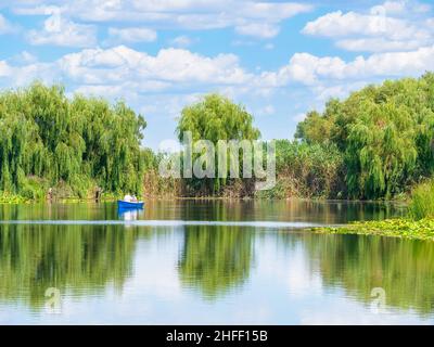 Landschaftlich schöner Blick auf den Comana-See, Teil des Naturparks Comana, in der Nähe von Bukarest, Rumänien. Stockfoto