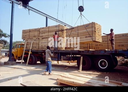 Umladung exportfertiger Holzstapel am Holzterminal in der Nähe von Tema, Ghana, Westafrika. Stockfoto