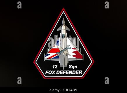 12 Squadron Übung Fox Defender Patch Stockfoto