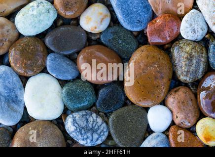 Nasse runde bunte Steine am Ufer des Baikalsees. Natutaler Hintergrund mit selektivem Fokus. Stockfoto