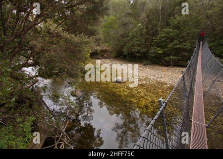 Hängebrücke auf dem Nelson Falls Nature Trail in Tasmanien, Australien Stockfoto