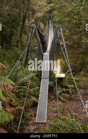 Hängebrücke auf dem Nelson Falls Nature Trail in Tasmanien, Australien Stockfoto