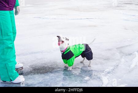 Mädchen in weißer Figur Schlittschuhe auf dem Eis des Baikalsees läuft mit ihrem Hund. Konzept für Outdoor-Aktivitäten im Winter. Stockfoto