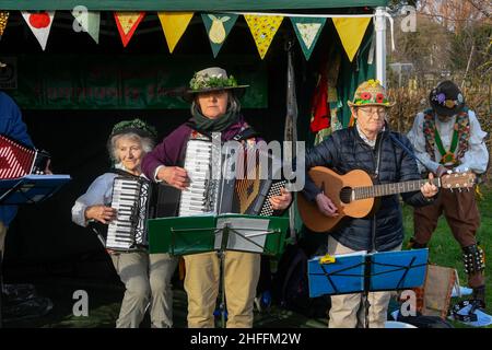 Bridport, Dorset, Großbritannien. 16th. Januar 2022. Wyld Morris tritt beim Wassailing im Bridport Community Orchard in Dorset auf. Wassailing ist ein traditionelles und altes Winterfest. Wassail stammt aus dem angelsächsischen „waes haeil“ - um gesund zu sein. Die Feier wird verwendet, um böse Geister zu vertreiben und eine gute Apfelernte in der folgenden Saison zu fördern. Bildnachweis: Graham Hunt/Alamy Live News Stockfoto