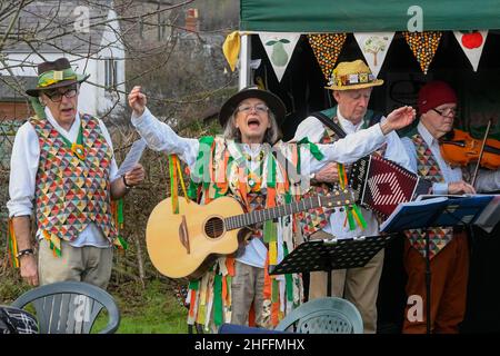 Bridport, Dorset, Großbritannien. 16th. Januar 2022. Wyld Morris tritt beim Wassailing im Bridport Community Orchard in Dorset auf. Wassailing ist ein traditionelles und altes Winterfest. Wassail stammt aus dem angelsächsischen „waes haeil“ - um gesund zu sein. Die Feier wird verwendet, um böse Geister zu vertreiben und eine gute Apfelernte in der folgenden Saison zu fördern. Bildnachweis: Graham Hunt/Alamy Live News Stockfoto