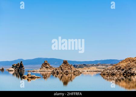 Kalifornien Möwe fliegen über den schönen Mono Lake in Kalifornien in der Nähe von Lee Vining Stockfoto