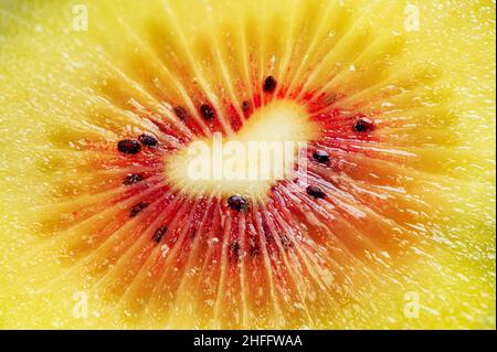 Rote Kiwi Frucht Beere Herz geformt Scheibe fokusstacking Makro sehr detailliert Stockfoto