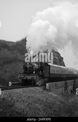 „Lydham Manor“ (läuft als Klassenpionier 7800 „Torquay Manor“) im Broadsands Viaduct. Stockfoto