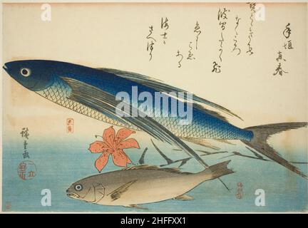 Fliegende Fische und Ichimochi, aus einer unbetitelten Serie von Fischen, c. 1840/42. Stockfoto