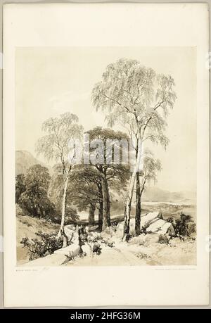 Birke und Eiche, aus dem Park und dem Wald, 1841. Stockfoto