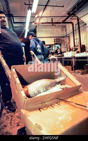 20. Dezember 1998, New York City, NY USA - The Fulton Fish Market , 3 Uhr morgens einer der frühesten Open-Air-Fischmärkte von New York vor seinem Umzug in2005 an seinen aktuellen Standort in Hunts Point, Bronx, NY. Foto von Jim DeLillo/Alamy Stockfoto