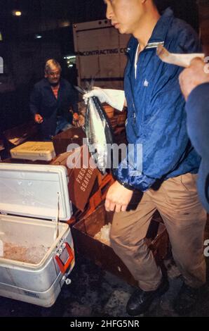 20. Dezember 1998, New York City, NY USA - The Fulton Fish Market , 3 Uhr morgens einer der frühesten Open-Air-Fischmärkte von New York vor seinem Umzug in2005 an seinen aktuellen Standort in Hunts Point, Bronx, NY. Foto von Jim DeLillo/Alamy Stockfoto